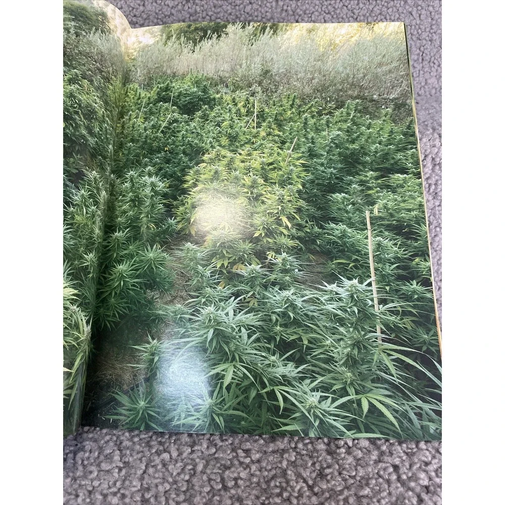N/A cannabis culture
